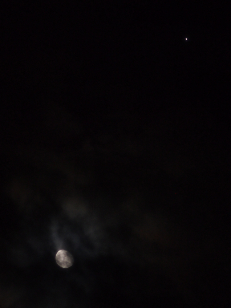 f:id:elmikamino:20121102212355j:image:w600