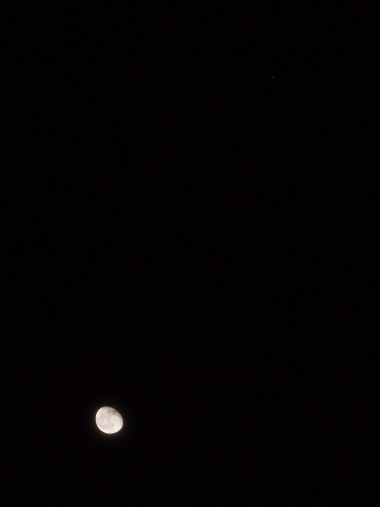 f:id:elmikamino:20121102215516j:image:w600