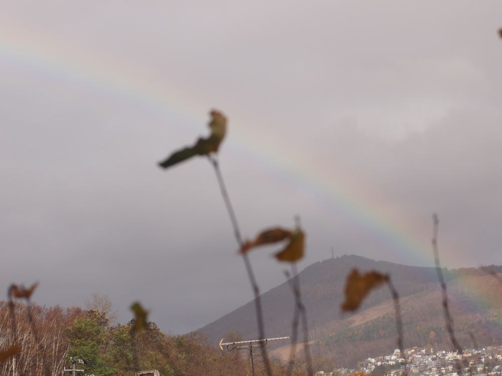 f:id:elmikamino:20121112091742j:image:w600
