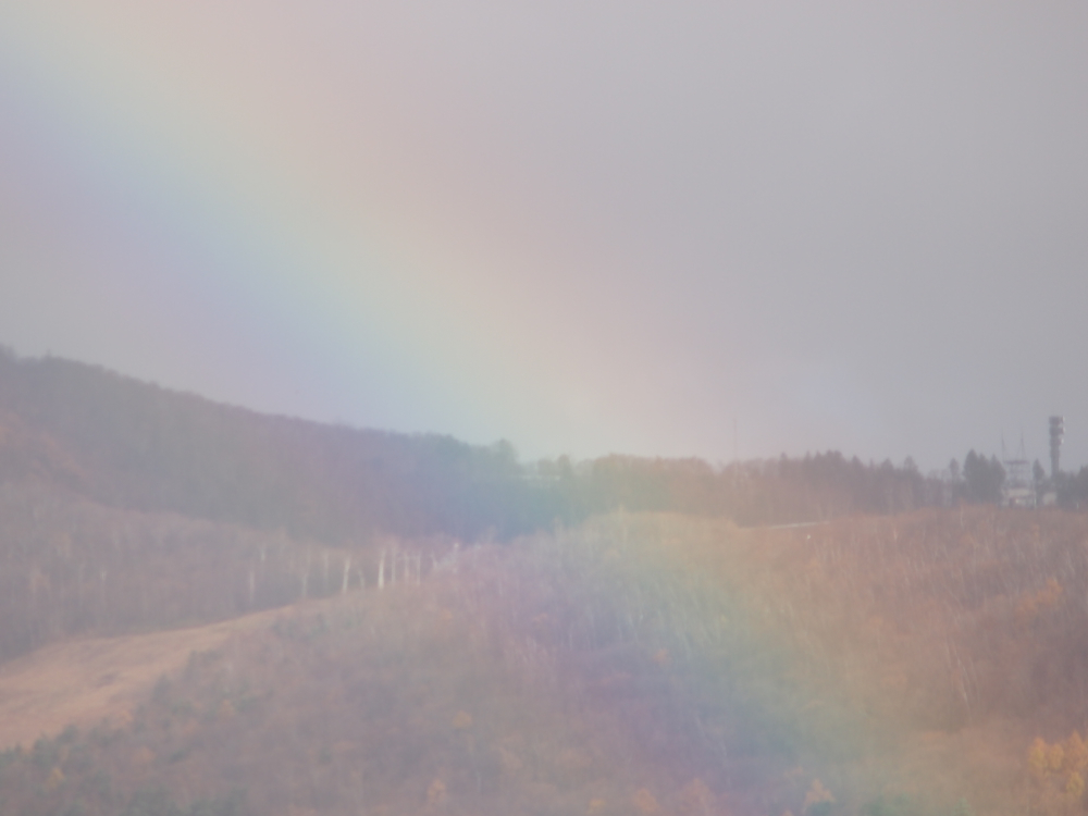 f:id:elmikamino:20121112091933j:image:w600