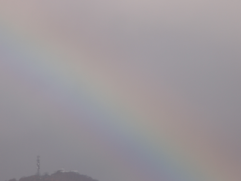 f:id:elmikamino:20121112091942j:image:w600