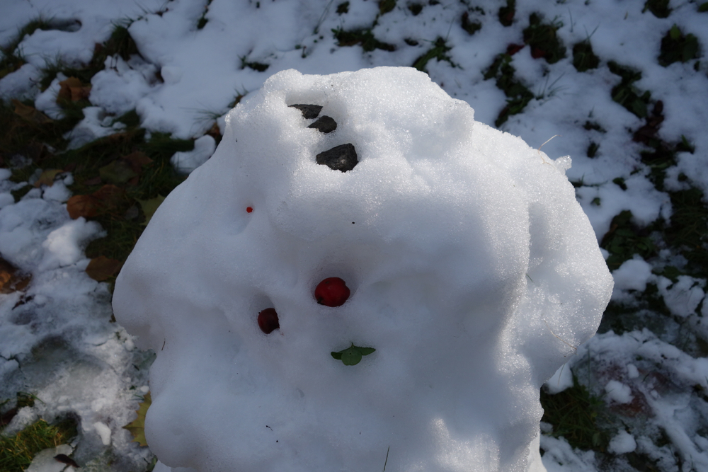 f:id:elmikamino:20121120125002j:image:w600 f:id:elmikamino:20121120125002j:image:w600