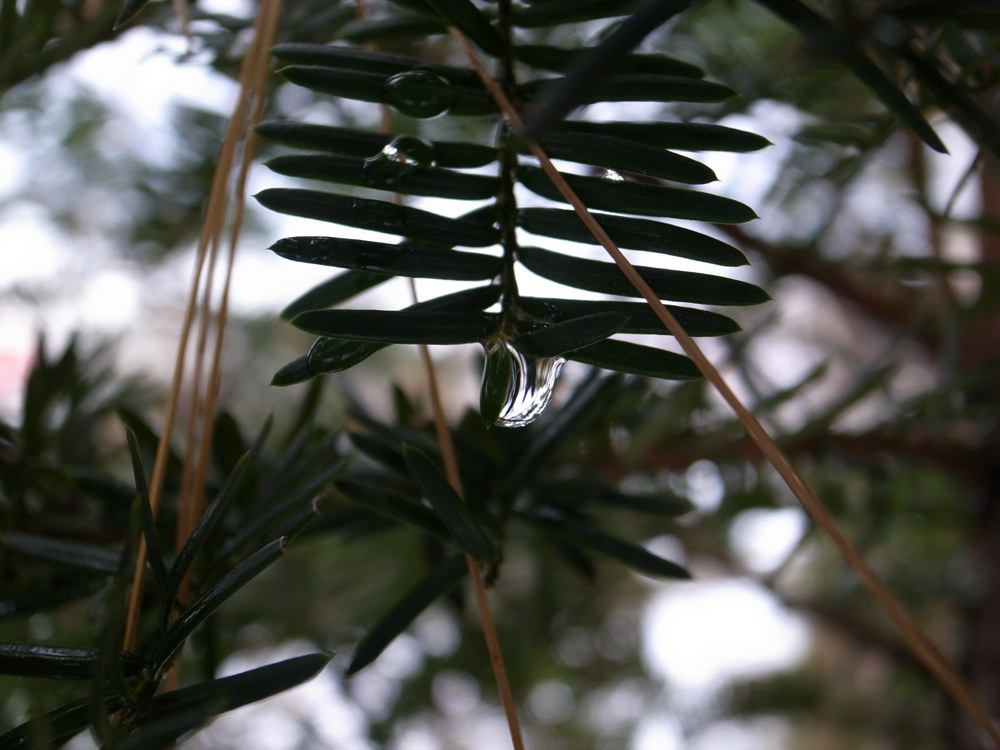f:id:elmikamino:20121126111629j:image:w600 f:id:elmikamino:20121126111629j:image:w600