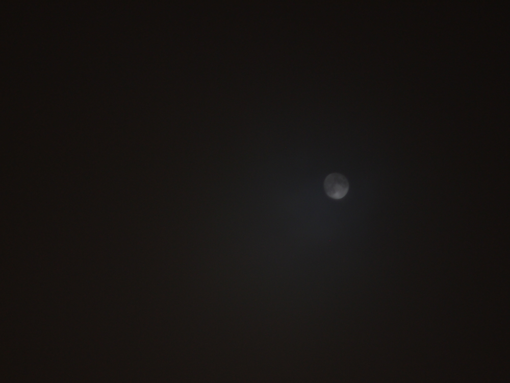 f:id:elmikamino:20121126194234j:image:w600