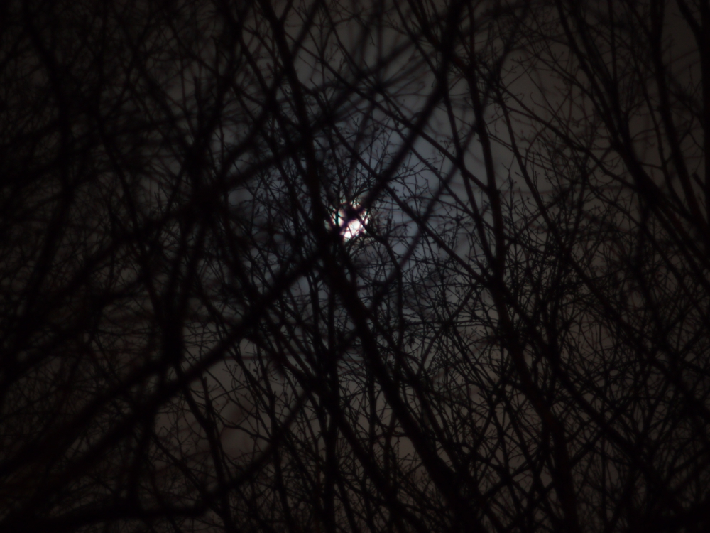 f:id:elmikamino:20121127001805j:image:w600