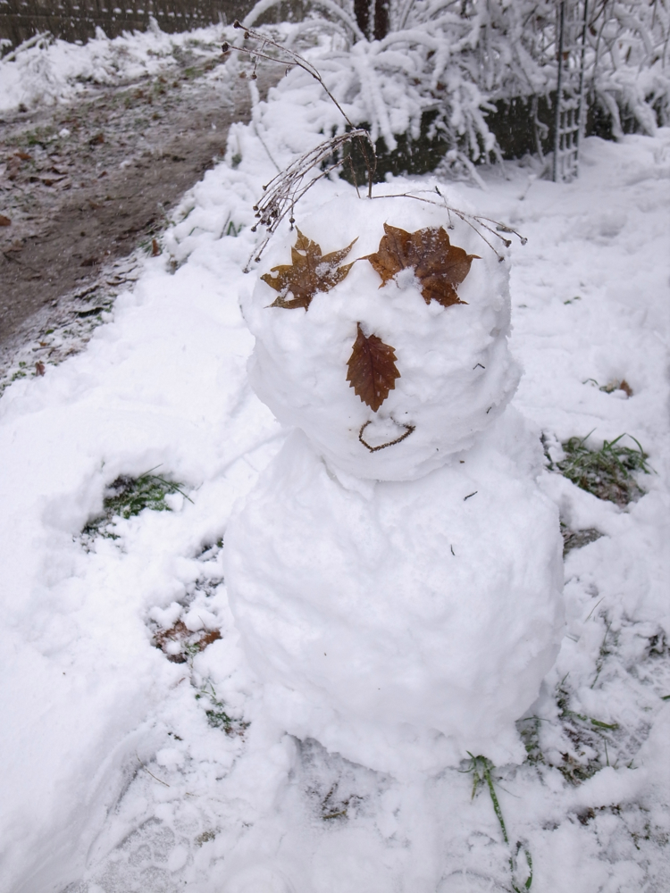 f:id:elmikamino:20121127120938j:image:w600