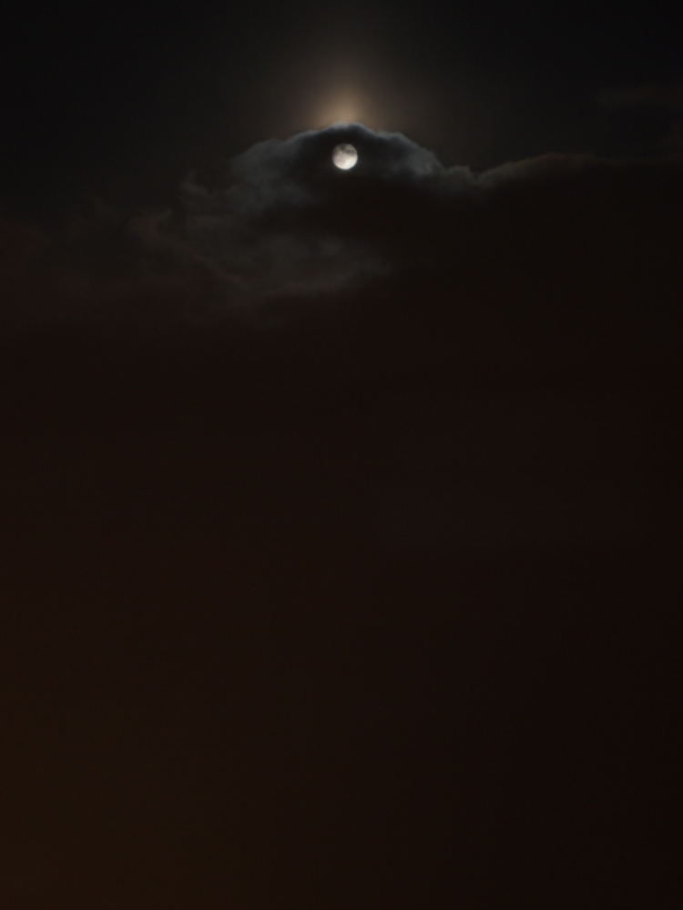 f:id:elmikamino:20121127170336j:image:w600
