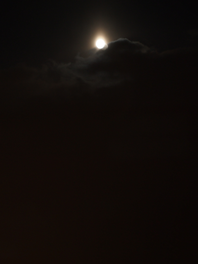 f:id:elmikamino:20121127170345j:image:w600