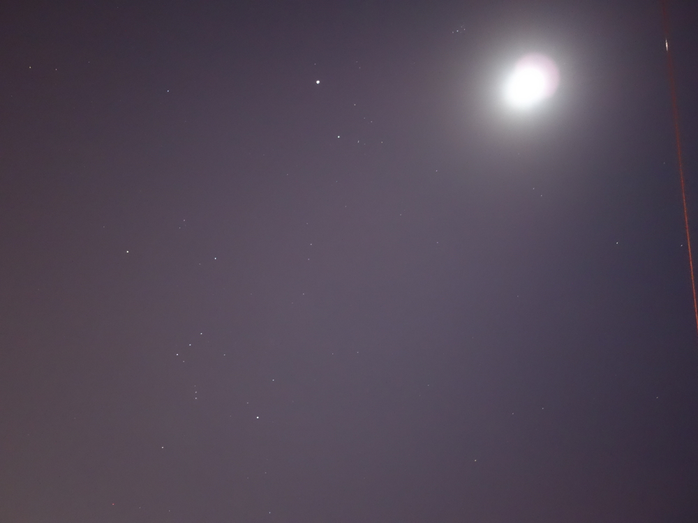 f:id:elmikamino:20121127212848j:image:w600