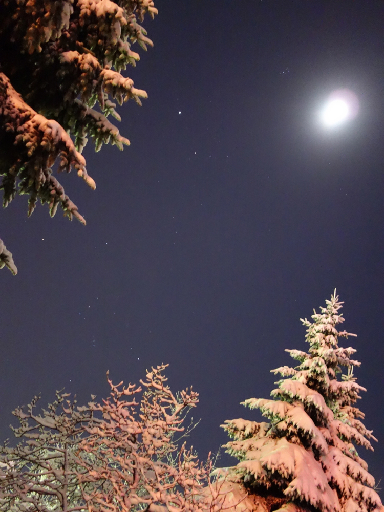 f:id:elmikamino:20121127213528j:image:w600