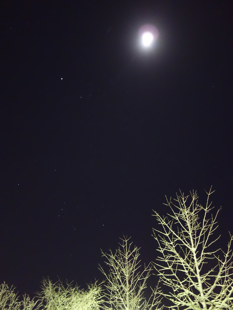f:id:elmikamino:20121127213613j:image:w600
