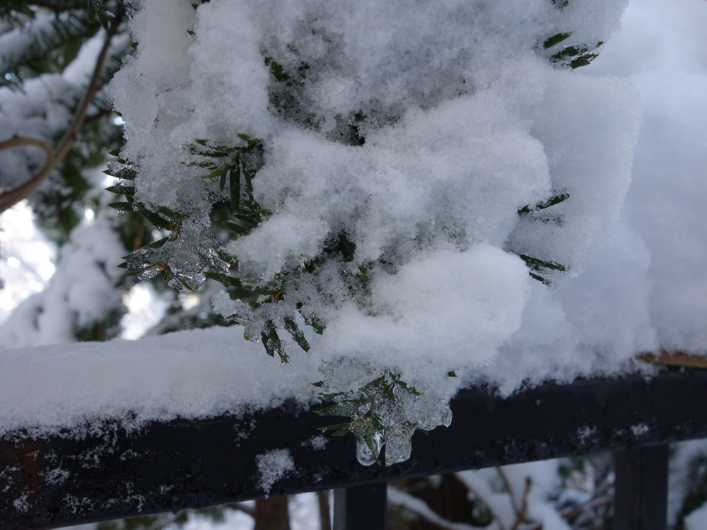 f:id:elmikamino:20121128110120j:image:w600