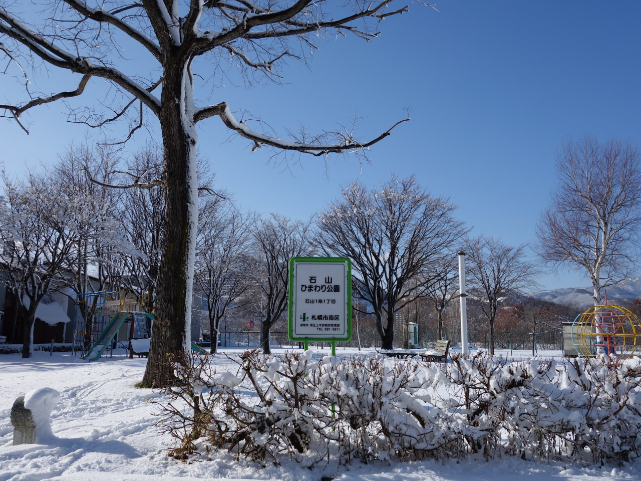 f:id:elmikamino:20121128121246j:image:w600