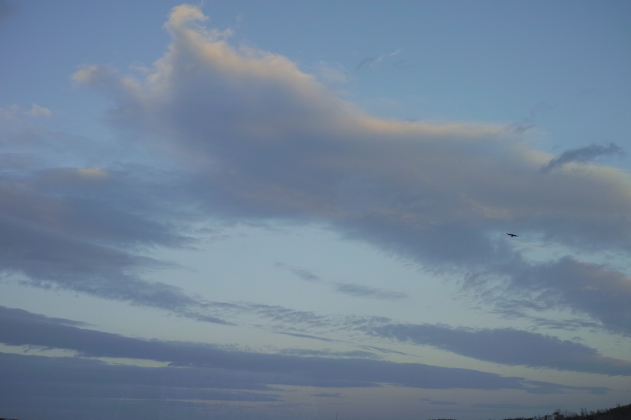 f:id:elmikamino:20121128155644j:image:w600