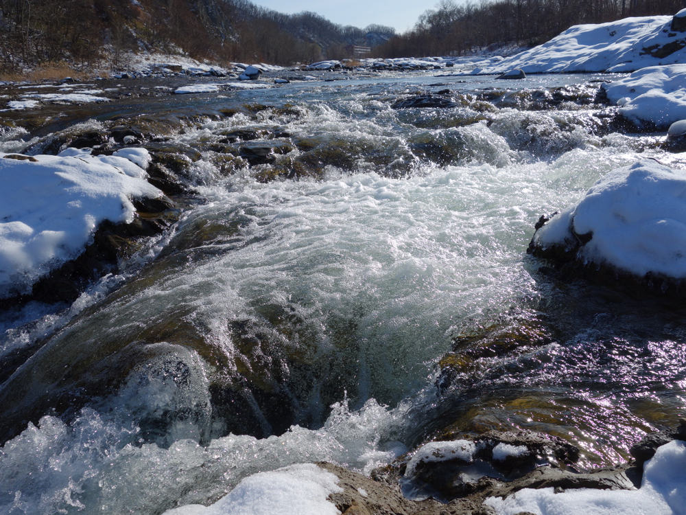 f:id:elmikamino:20121203110324j:image:w600