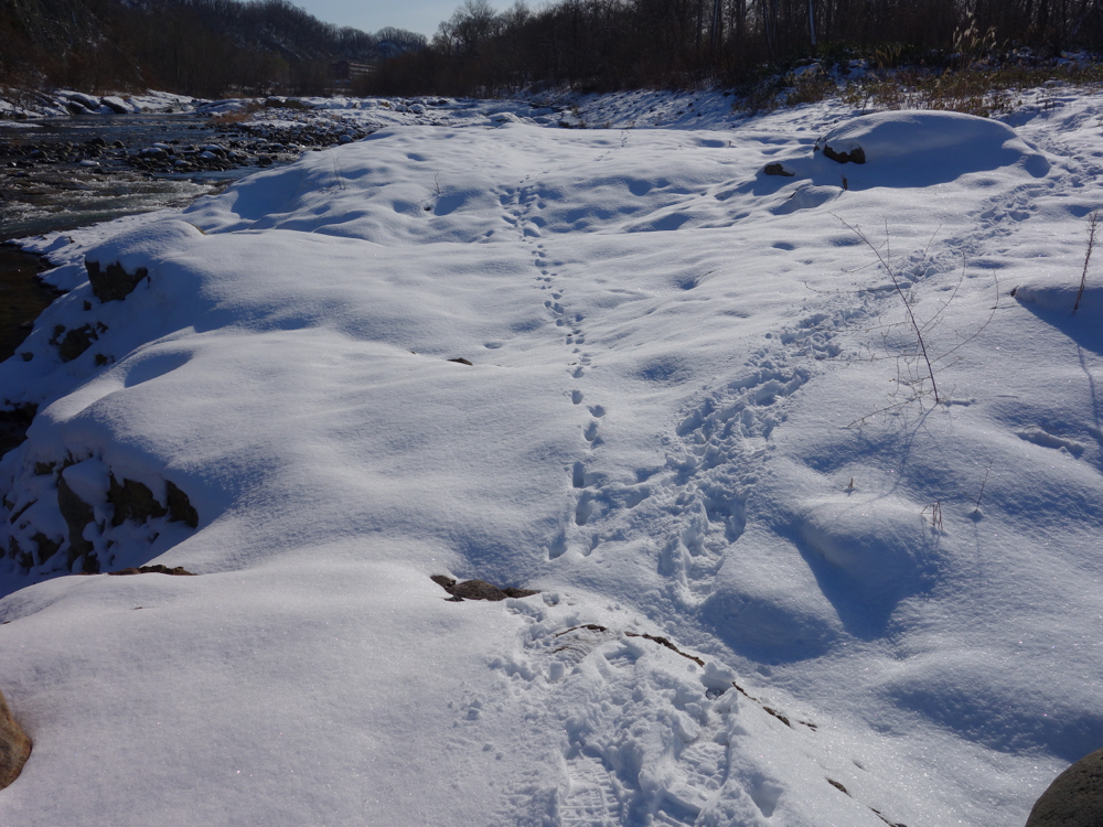 f:id:elmikamino:20121203110619j:image:w600