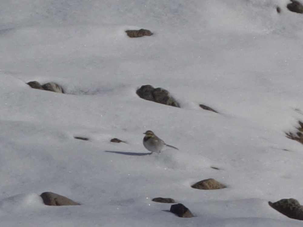 f:id:elmikamino:20121203111021j:image:w600