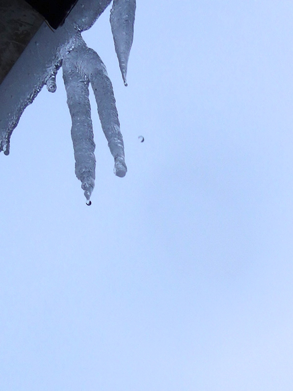 f:id:elmikamino:20121210142930j:image:w600