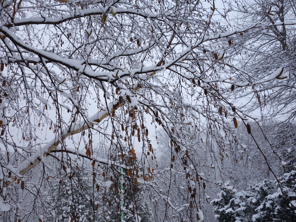 f:id:elmikamino:20121211113805j:image:w600