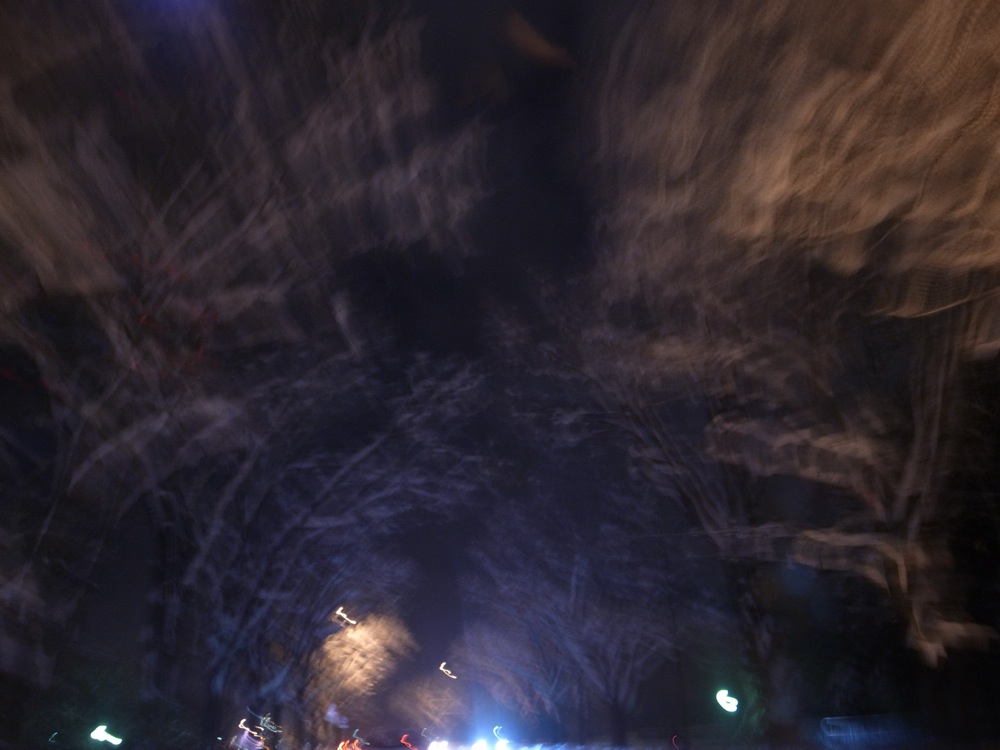 f:id:elmikamino:20121214193223j:image:w600