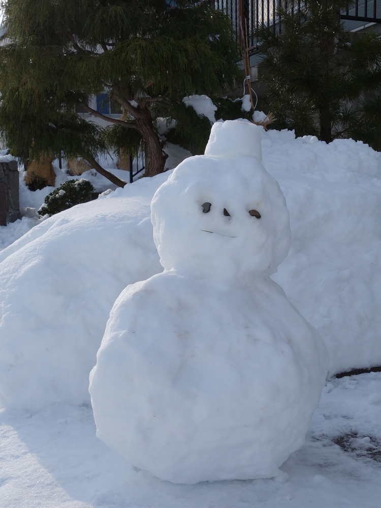 f:id:elmikamino:20121217103807j:image:w600