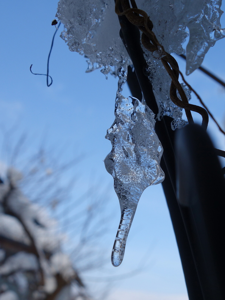 f:id:elmikamino:20121217104109j:image:w600