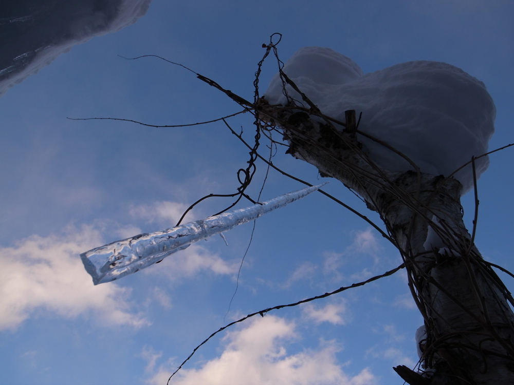 f:id:elmikamino:20121223150847j:image:w600
