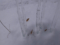 20121224105735