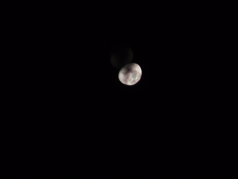 f:id:elmikamino:20121224225525j:image:w600