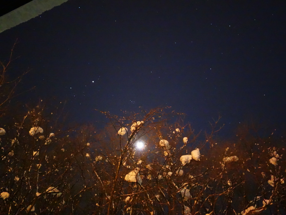 f:id:elmikamino:20121224230447j:image:w600