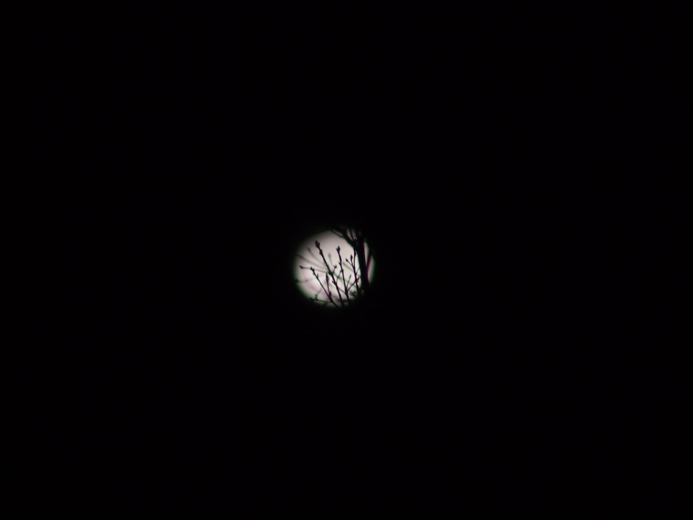 f:id:elmikamino:20121225233841j:image:w600
