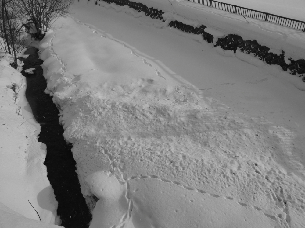 f:id:elmikamino:20121227112442j:image:w600