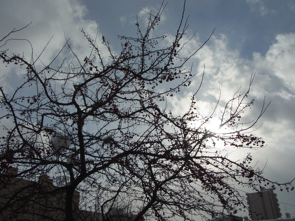 f:id:elmikamino:20121227112531j:image:w600