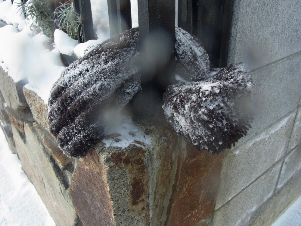 f:id:elmikamino:20121227120352j:image:w600