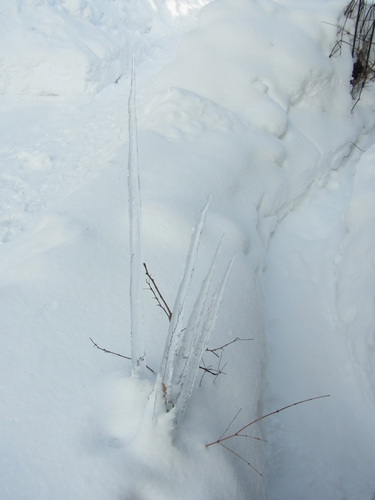 f:id:elmikamino:20121228091509j:image:w600