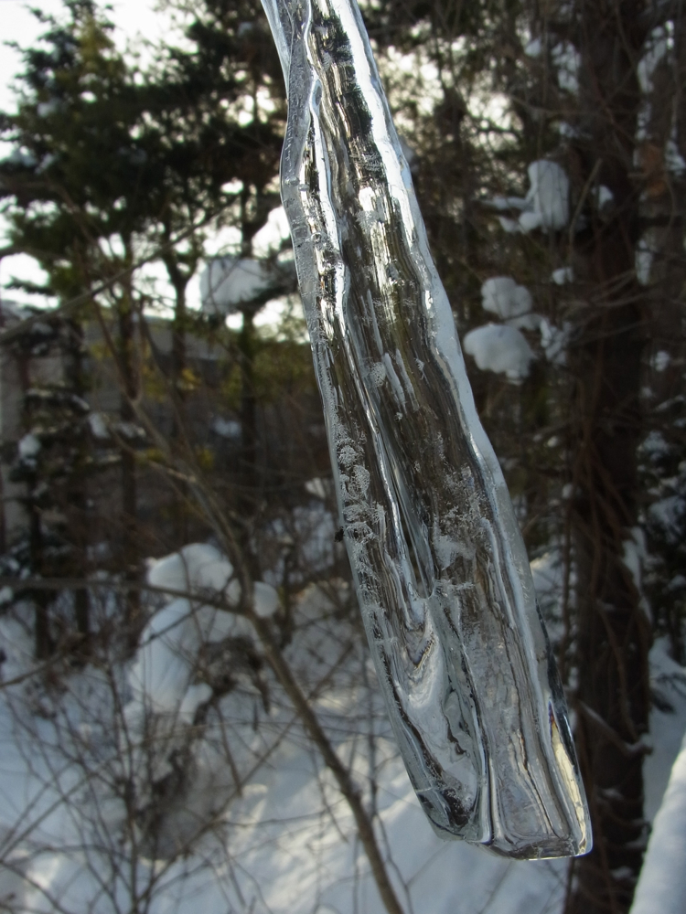 f:id:elmikamino:20121228091947j:image:w600