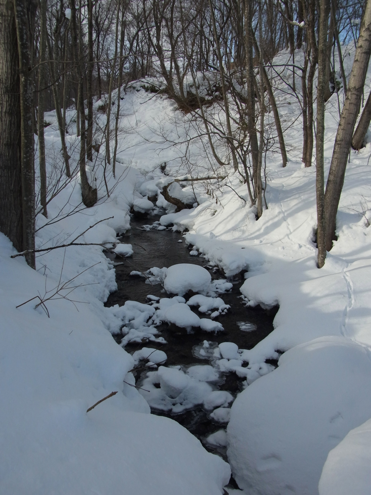 f:id:elmikamino:20121228112025j:image:w600