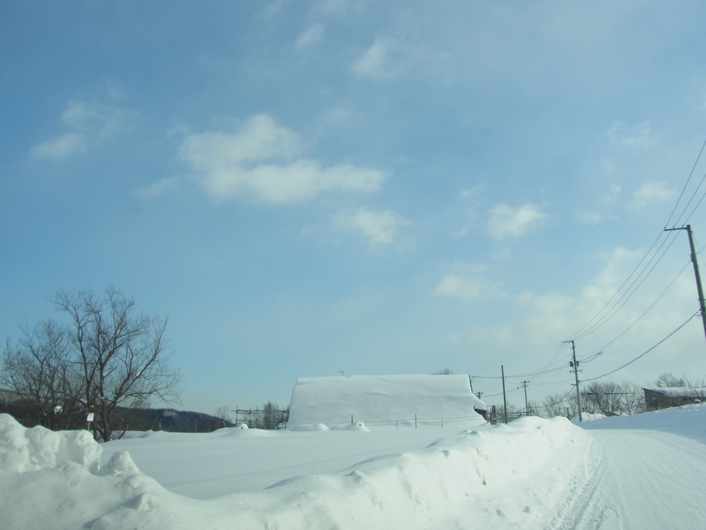 f:id:elmikamino:20121228112141j:image:w600