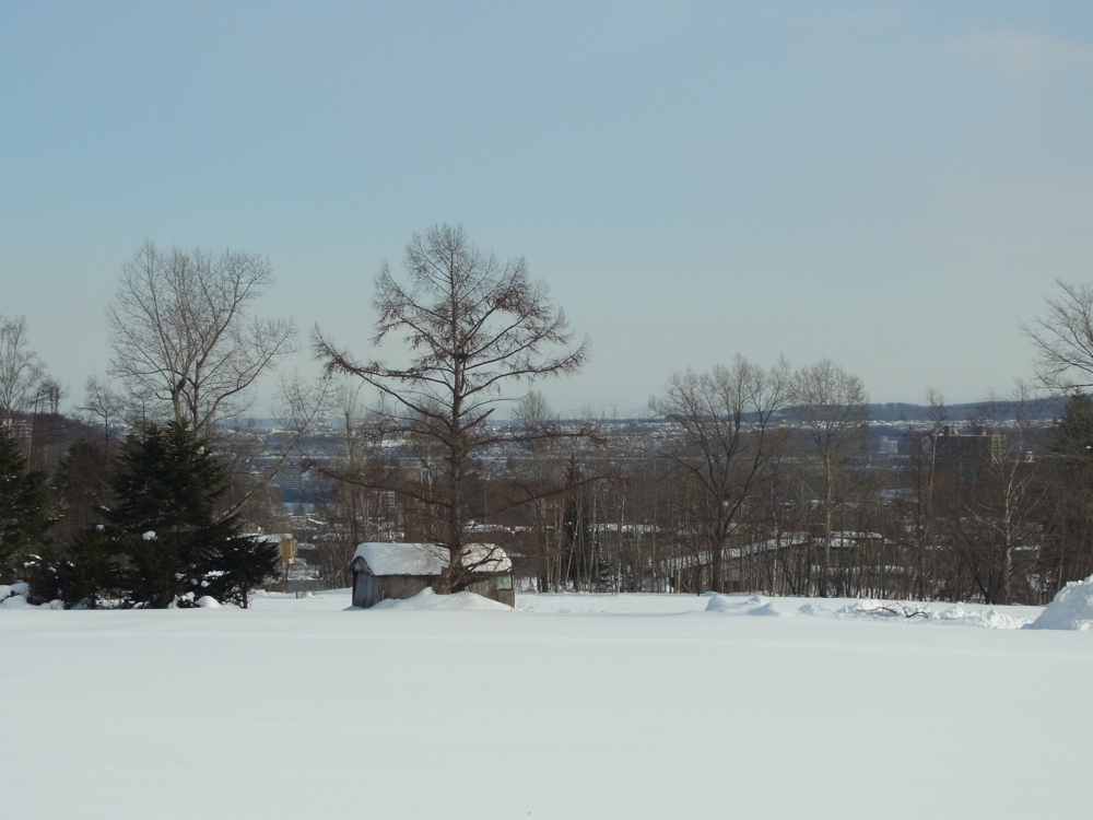 f:id:elmikamino:20121228112414j:image:w600