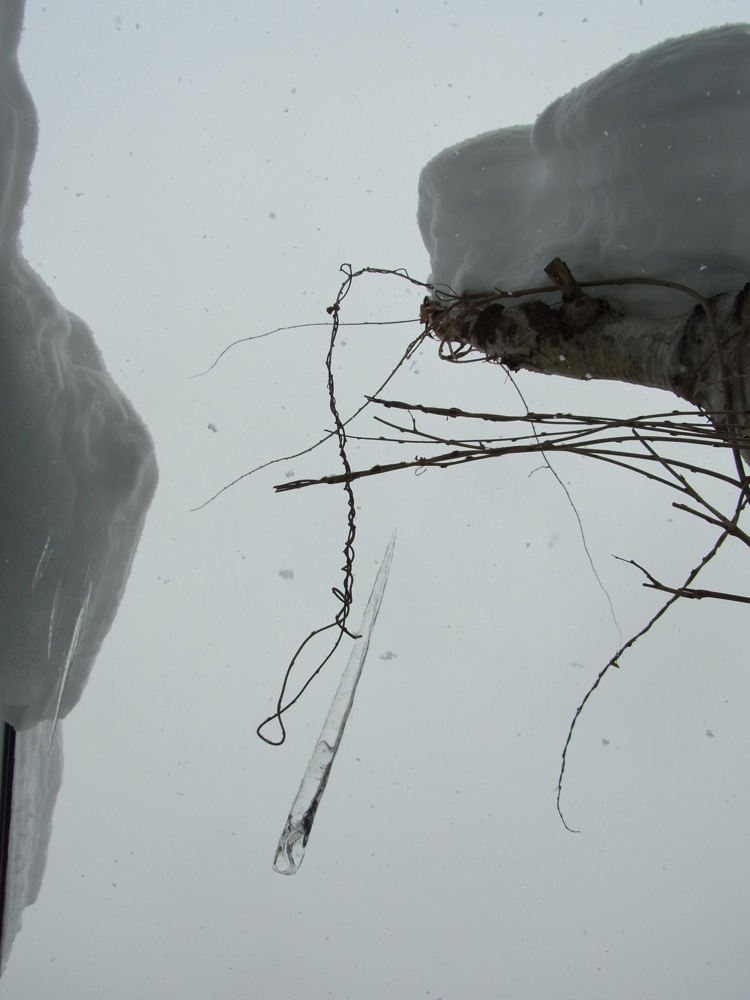 f:id:elmikamino:20121229095959j:image:w600