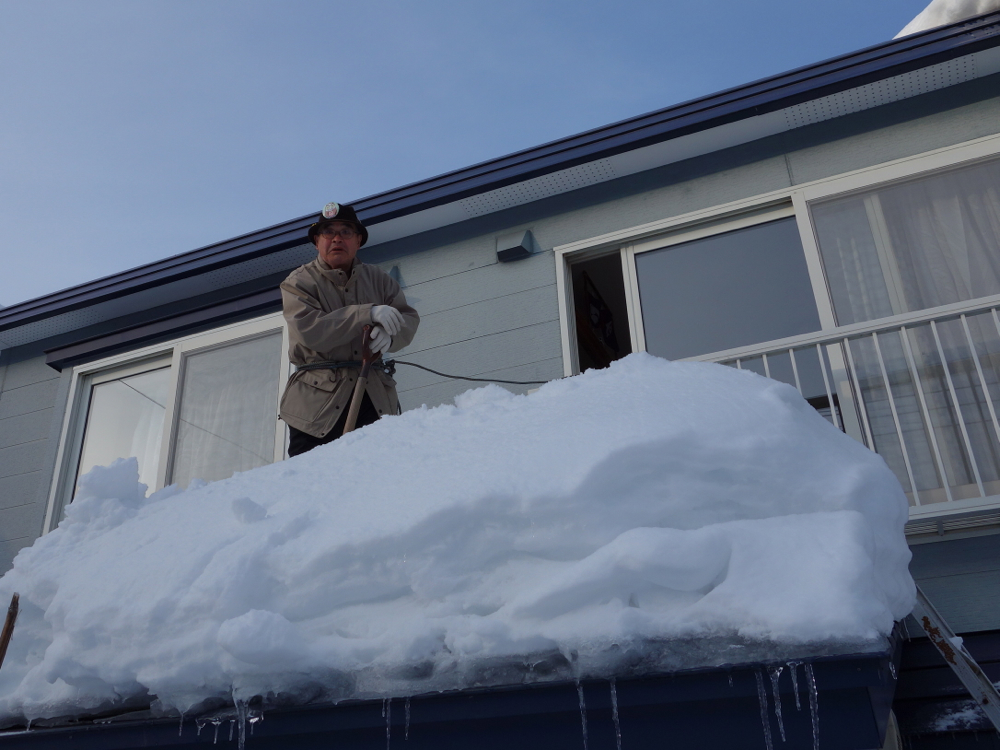 f:id:elmikamino:20121229143329j:image:w600