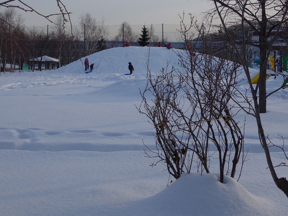 f:id:elmikamino:20121229144627j:image:w600