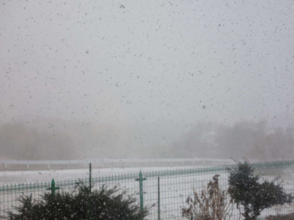 f:id:elmikamino:20130101101622j:image:w500 f:id:elmikamino:20130101101622j:image:w500