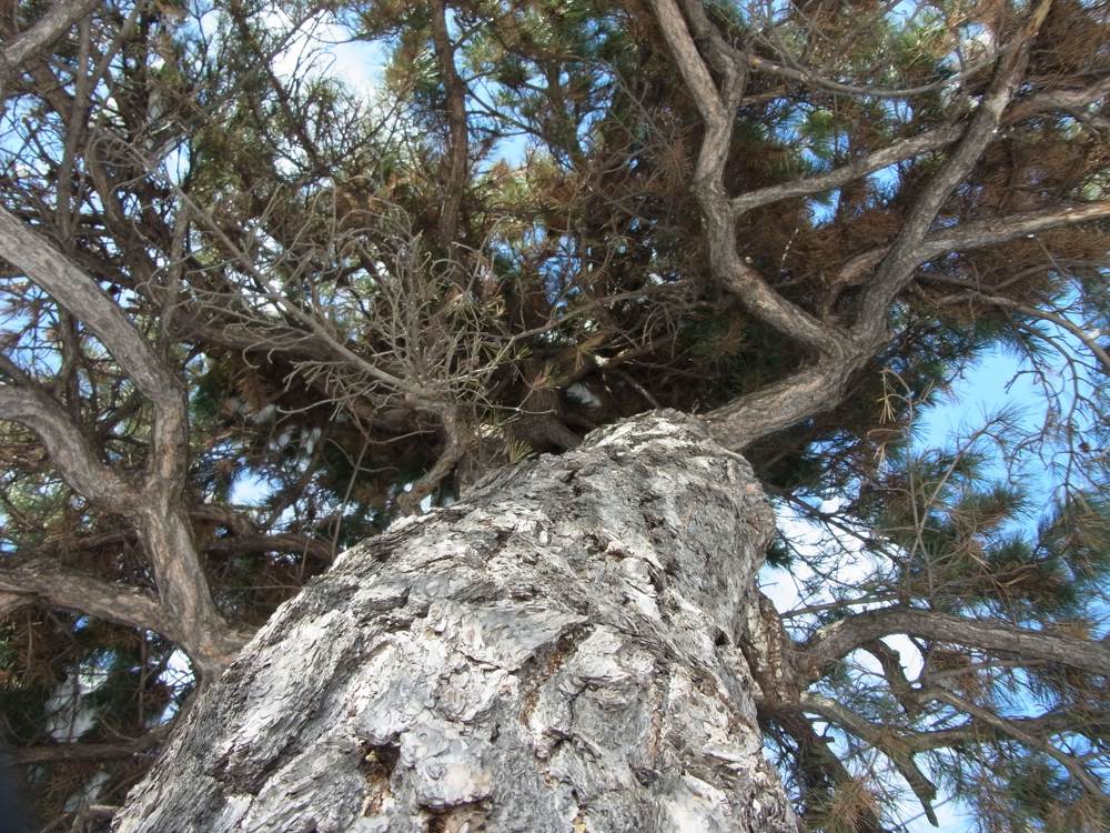 f:id:elmikamino:20130104112657j:image:w500
