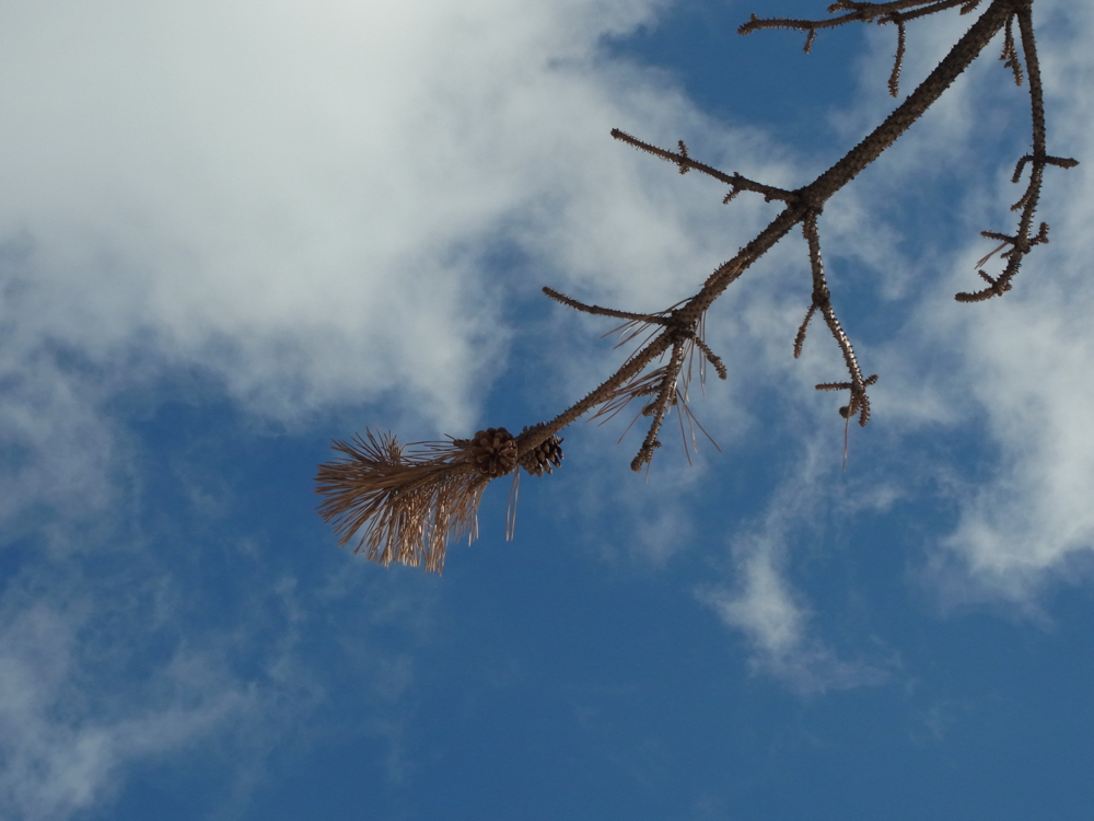 f:id:elmikamino:20130104112822j:image:w500