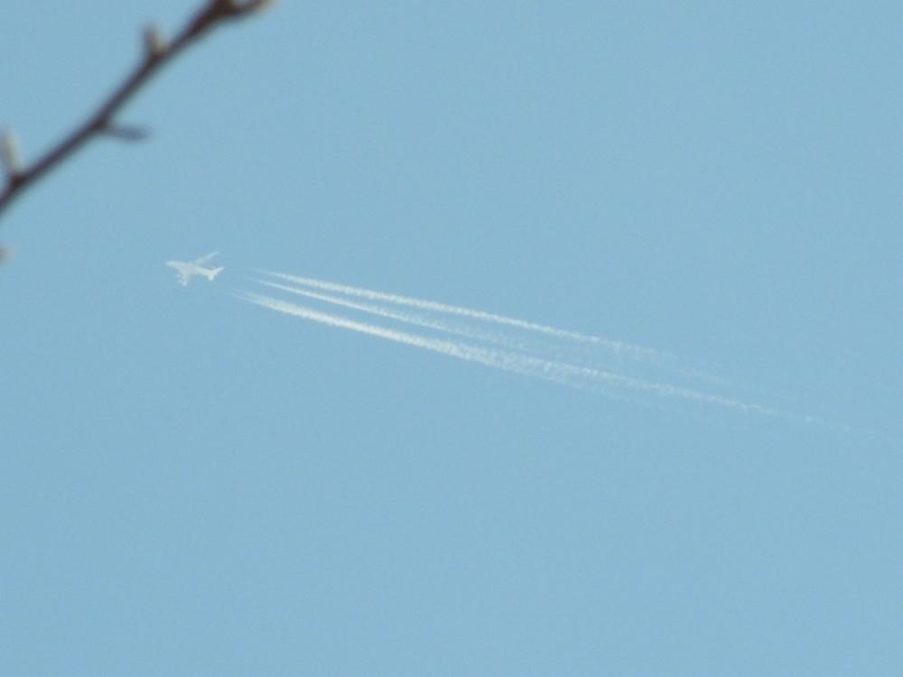 f:id:elmikamino:20130104115746j:image:w500