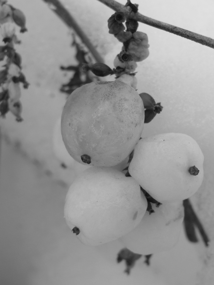 f:id:elmikamino:20130104120330j:image:w500