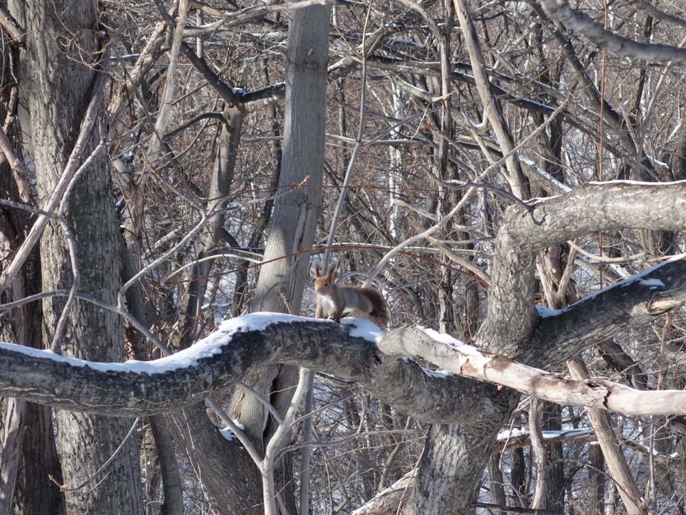 f:id:elmikamino:20130108102750j:image:w500