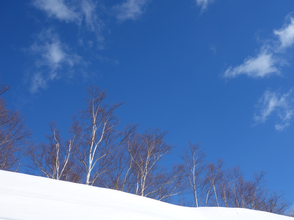 f:id:elmikamino:20130108103752j:image:w500