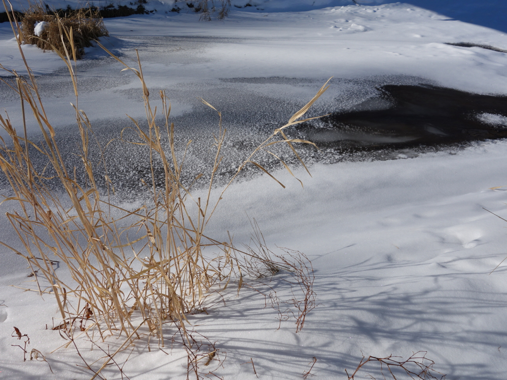 f:id:elmikamino:20130108110420j:image:w500
